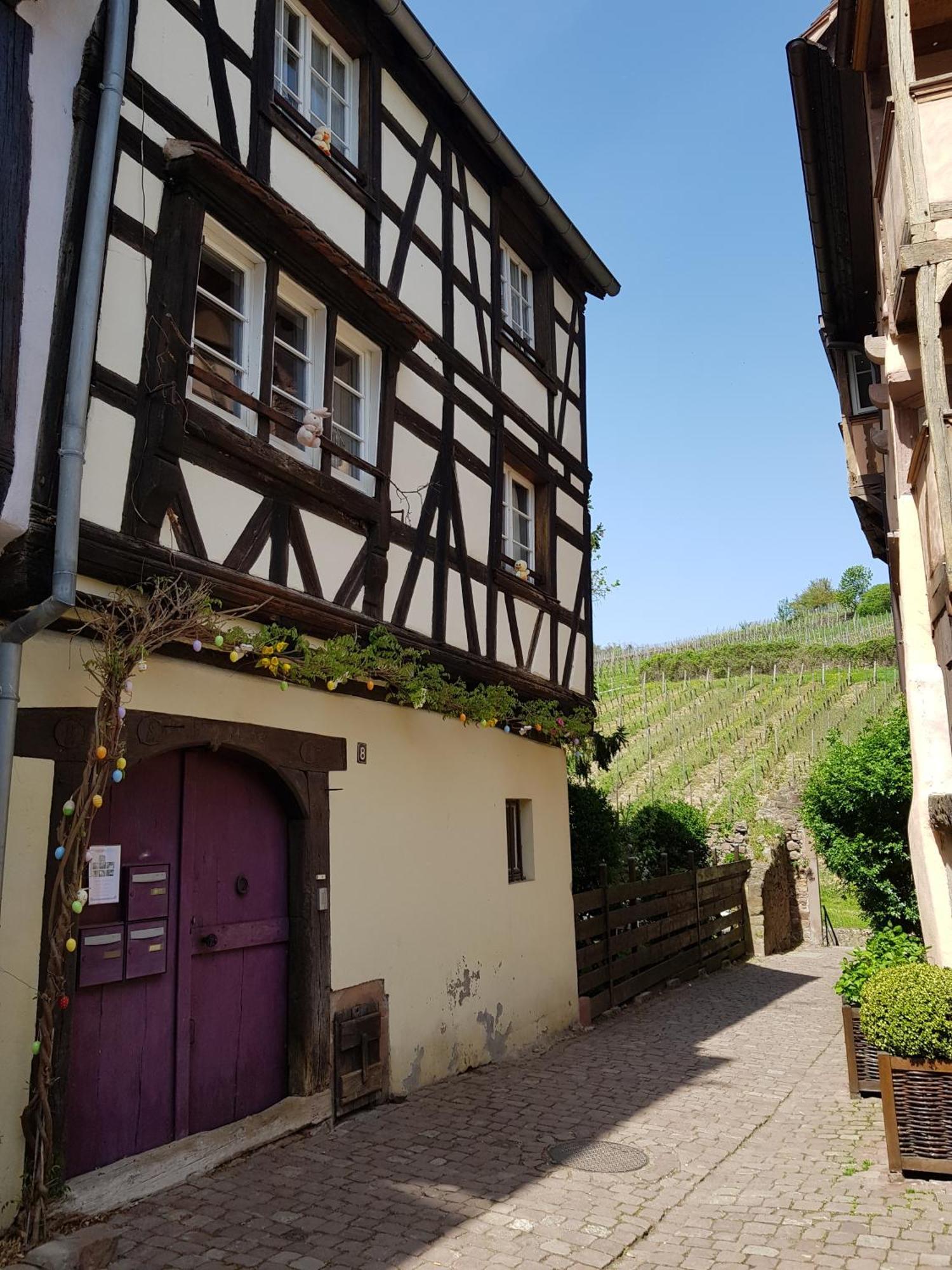 La Maison Vigneronne Рикевір Екстер'єр фото